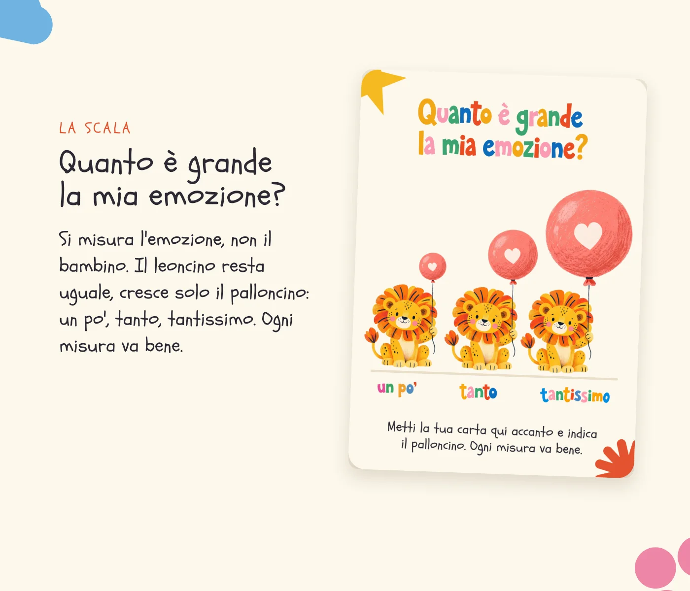 Piccoli ruggiti, quanto è grande?