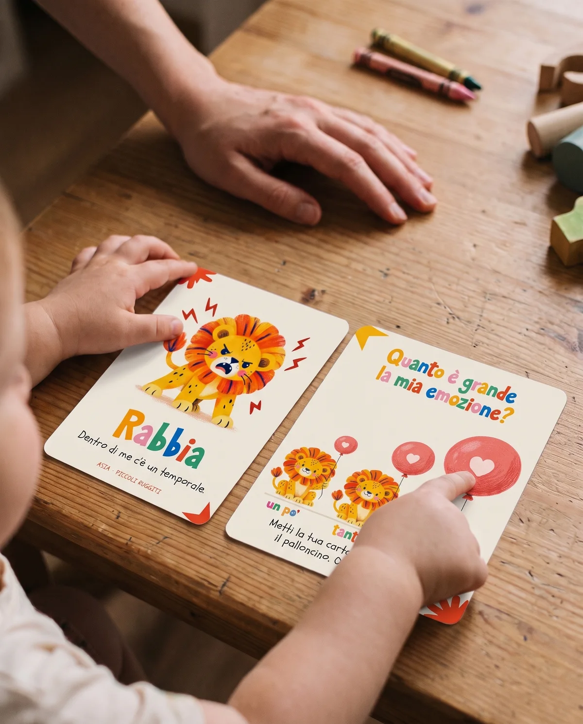 Piccoli ruggiti, 2, quanto è grande?
